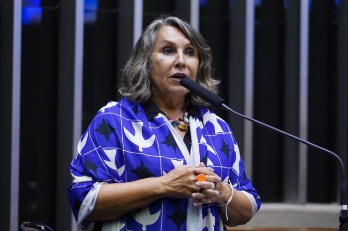 Erika Kokay fez requerimento para a realização da audiência pública - (Foto: Pablo Valadares / Câmara dos Deputados)