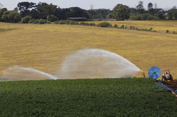 Pela proposta, agricultores inadimplentes poderão renegociar suas dívidas de forma mais ágil - (Foto: Gilson Abreu/AEN)