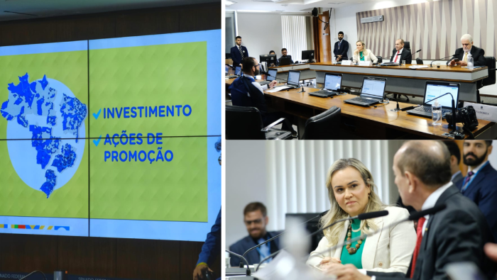 Ministra do Turismo comparece ao Senado Federal. Crédito: Roberto Castro/MTur