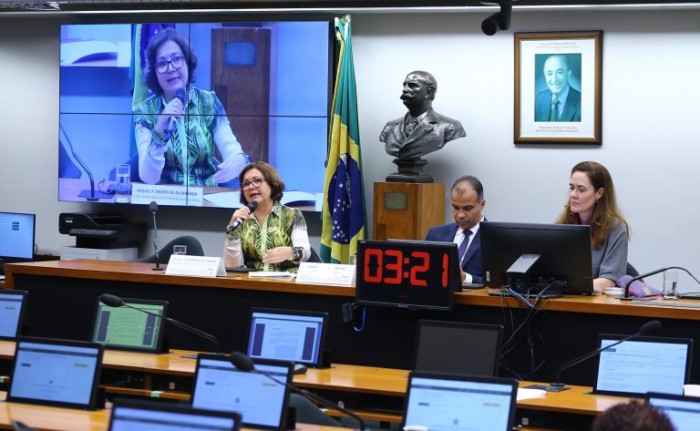 Reunião da Comissão de Previdência, Assistência Social, Infância, Adolescência e Família - (Foto: Vinicius Loures/Câmara dos Deputados)
