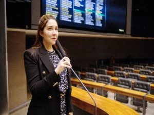 Sonize Barbosa recomendou a aprovação do projeto - (Foto: Divulgação)