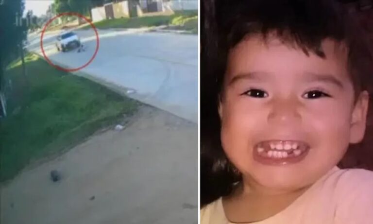 Crédito: Divulgação