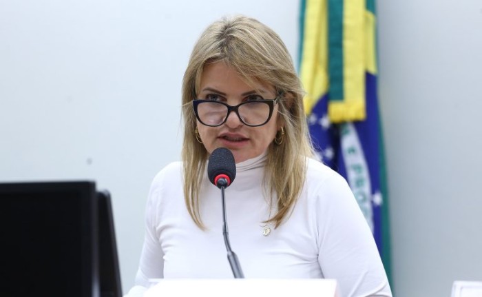Flávia Morais ressaltou que em muitos casos a violência contra idosos passa despercebida - (Foto: Vinicius Loures/Câmara dos Deputados)