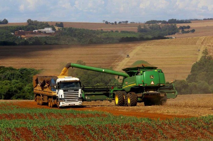 Desempenho do setor agropecuário foi surpresa positiva no primeiro trimestre