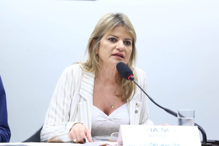 Flávia Morais, relatora do projeto - (Foto: Vinicius Loures/Câmara dos Deputados)