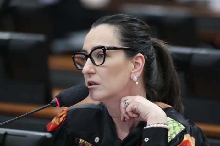 Rosângela Moro denuncia falta de dados sobre o tema - (Foto: Bruno Spada/Câmara dos Deputados)