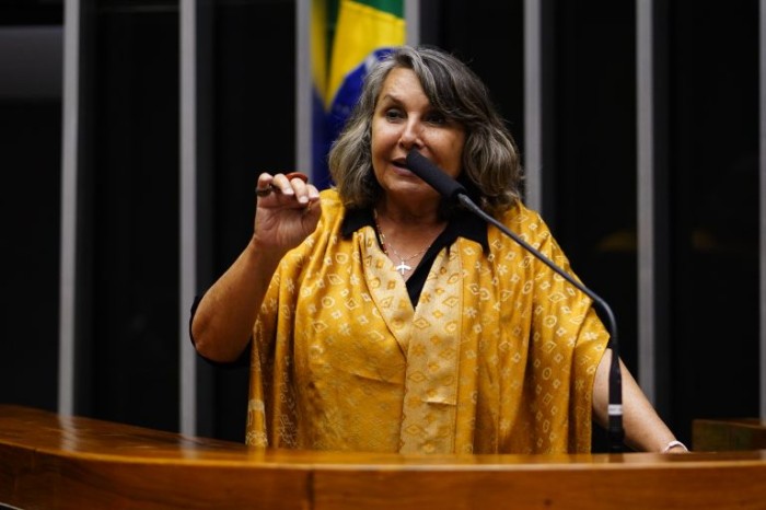 A relatora, Erika Kokay, recomendou a aprovação do projeto - (Foto: Pablo Valadares/Câmara dos Deputados)