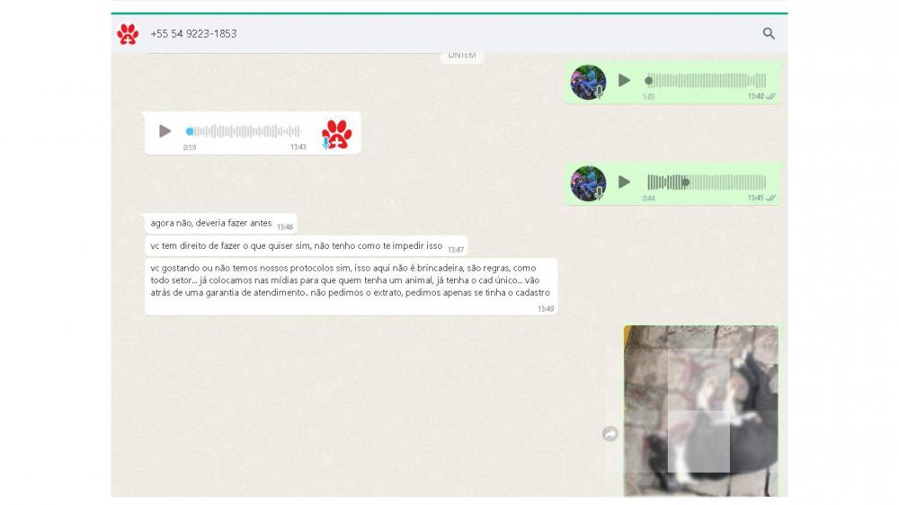 Captura de tela da conversa da voluntária com o serviço do SAMU PET. Crédito: Arquivo pessoal.