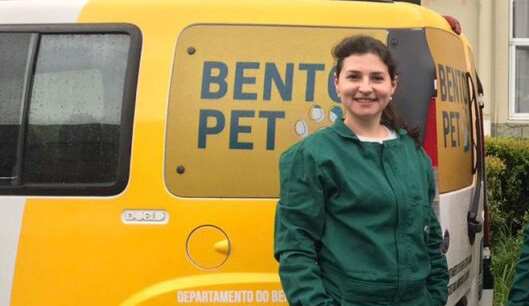 Apesar dos esclarecimentos da responsável pelo Bento PET, Michele Segatto, o atendimento demonstra que a questão burocrática foi levada mais em conta do que realizar o atendimento e tentar salvar a vida do animal. 