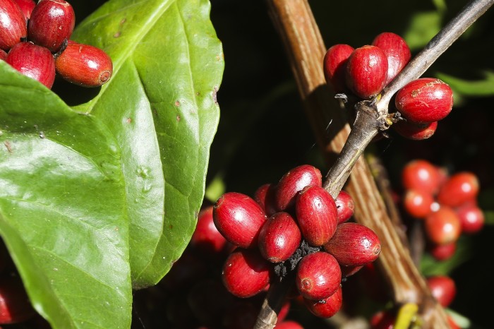 © Valter Campanato/Agência Brasil