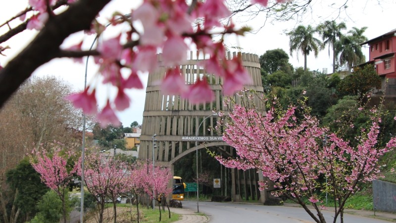 Crédito: Divulgação