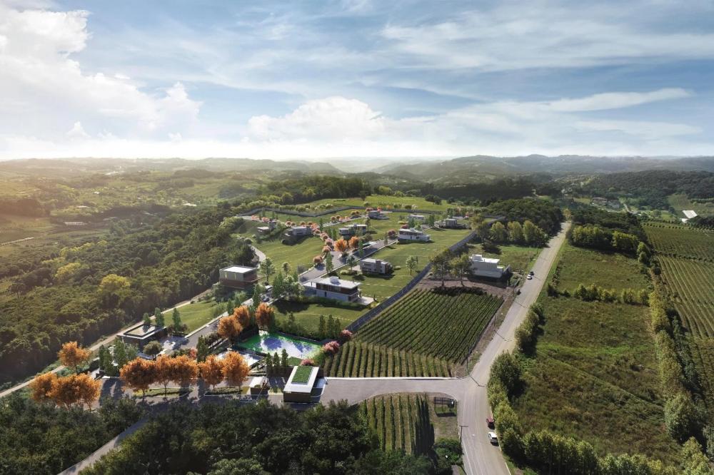 Vale dos Vinhedos é eleito melhor roteiro gastronômico fora das capitais no Brasil