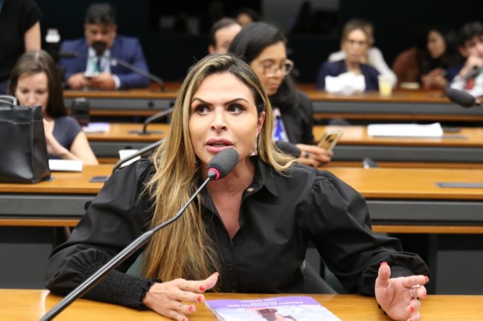 Para Silvye Alves, são necessários instrumentos legais que criminalizem tais práticas - (Foto: Billy Boss/Câmara dos Deputados)