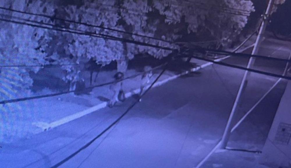 Crédito: Divulgação 