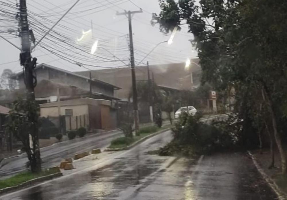 Chuvarada provoca quedas de árvore e deslizamentos em Bento Gonçalves