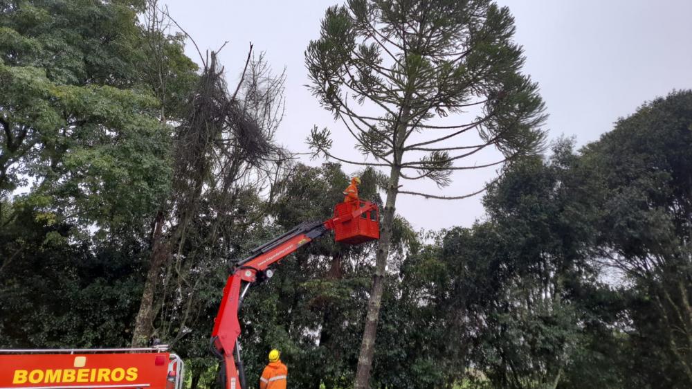 Crédito: Divulgação/Corpo de Bombeiros Militar