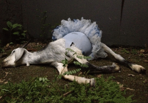 Imagem: Divulgação (Exposição 