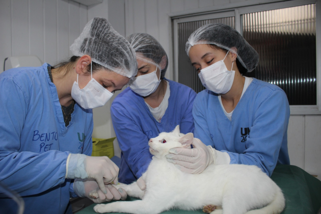 Crédito: Rodrigo De Marco / Assessoria de Comunicação Social da Prefeitura