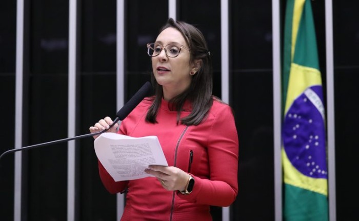 Renata Abreu, relatora do projeto - (Foto: Bruno Spada/Câmara dos Deputados)