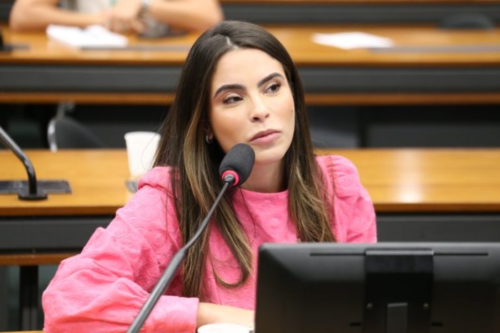 Yandra Moura: conhecer o conteúdo dos documentos é um direito fundamental - (Foto: Billy Boss/Câmara dos Deputados)