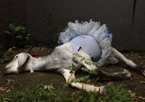 Exposições de artes visuais em São Paulo integram a programação dos espaços da Funarte