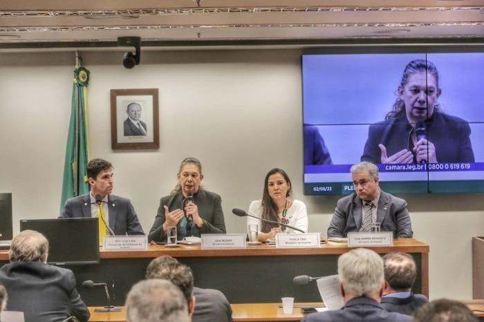 Ministra do Esporte, Ana Moser, fala aos deptuados - (Foto: Ministério do Esporte)