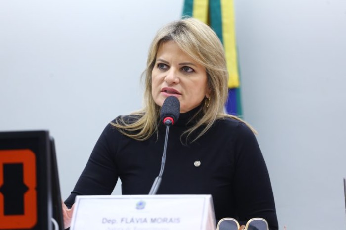Flávia Morais: é preciso ampliar os cuidados à população 60+ - (Foto: Vinicius Loures/Câmara dos Deputados)