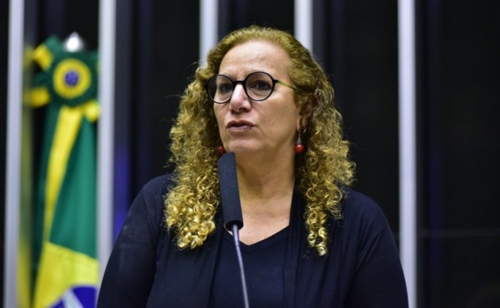 Jandira Feghali: a legislação precisa ser cumprida em todo o País - (Foto: Zeca Ribeiro / Câmara dos Deputados)