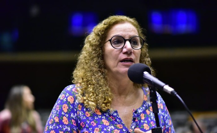 Texto aprovado é substitutivo da relatora, Jandira Feghali - (Foto: Zeca Ribeiro / Câmara dos Deputados)