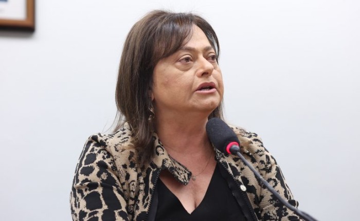 Alice Portugal, relatora da proposta - (Foto: Myke Sena / Câmara dos Deputados)