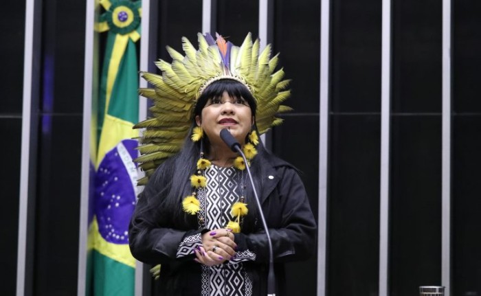 Célia Xakriabá: medida vai garantir participação efetiva das comunidades na tomada de decisões - (Foto: Bruno Spada/Câmara dos Deputados)