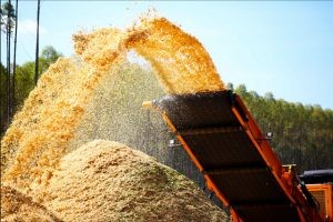 Comissão debaterá relação da produção do hidrogênio sustentável com o setor dos biocombustíveis