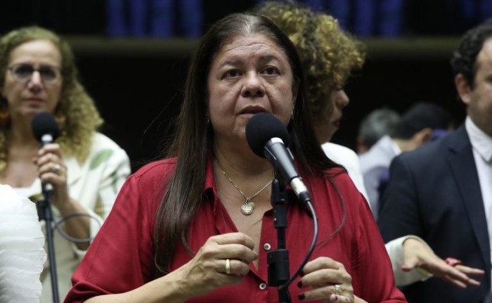 A relatora, deputada Laura Carneiro, recomendou a aprovação da proposta - (Foto: Bruno Spada/Câmara dos Deputados)