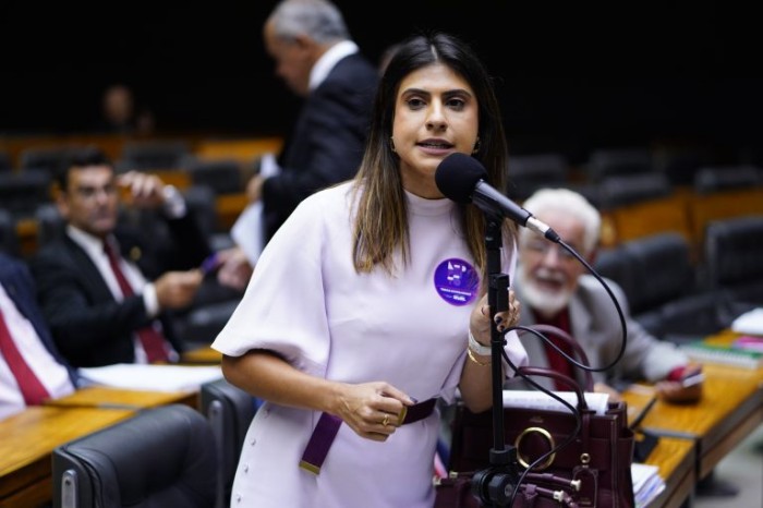 Segundo Camila Jara, projeto não afeta receita ou despesa da União - (Foto: Pablo Valadares/Câmara dos Deputados)