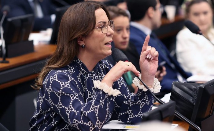 Delegada Katarina: a proposta dará mais condições a idosos e pessoas com deficiência - (Foto: Myke Sena / Câmara dos Deputados)