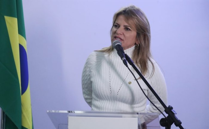 Flávia Morais é a relatora da proposta na comissão - (Foto: Bruno Spada/Câmara dos Deputados)