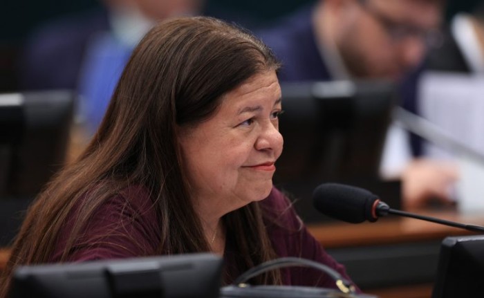 Laura Carneiro, relatora da proposta na CCJ - (Foto: MyKe Sena/Câmara dos Deputados)