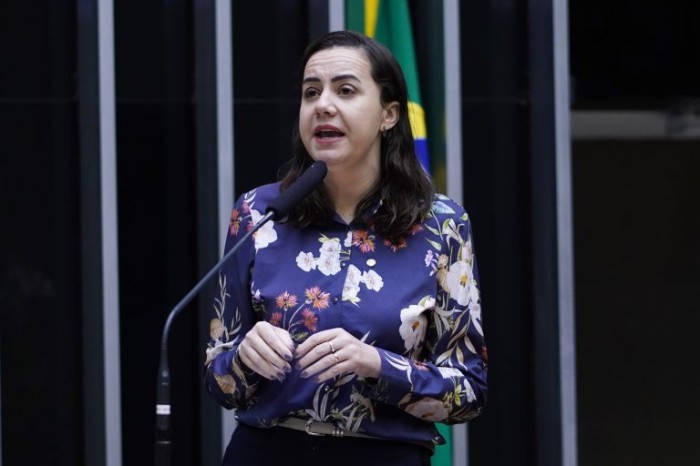 Texto aprovado é substitutivo da relatora, Franciane Bayer - (Foto: Pablo Valadares / Câmara dos Deputados)