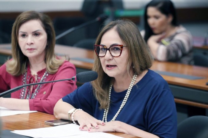 Professora Goreth defendeu a aprovação da medida - (Foto: Bruno Spada/Câmara dos Deputados)