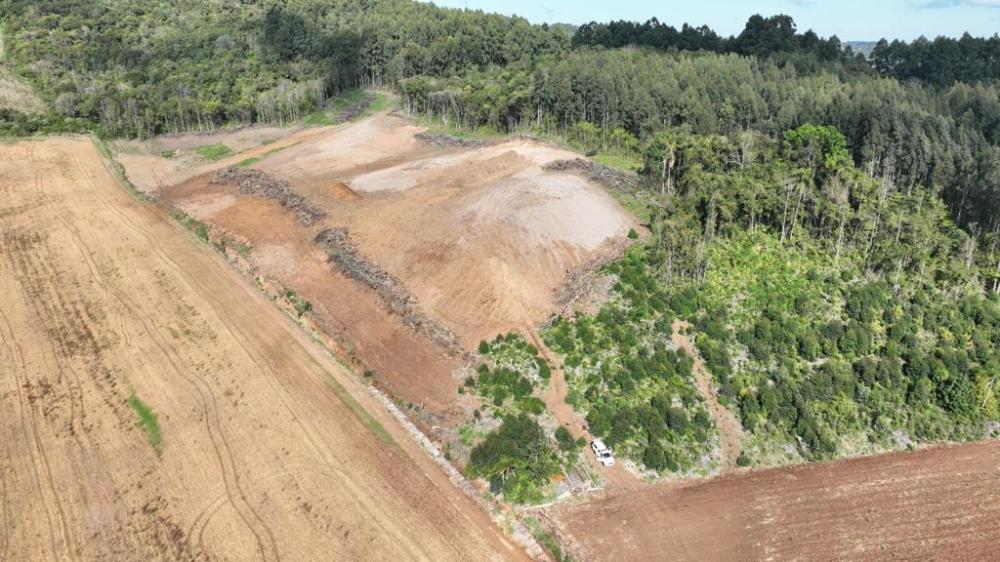 Mata Atlântica: Crime ambiental é descoberto em Carlos Barbosa