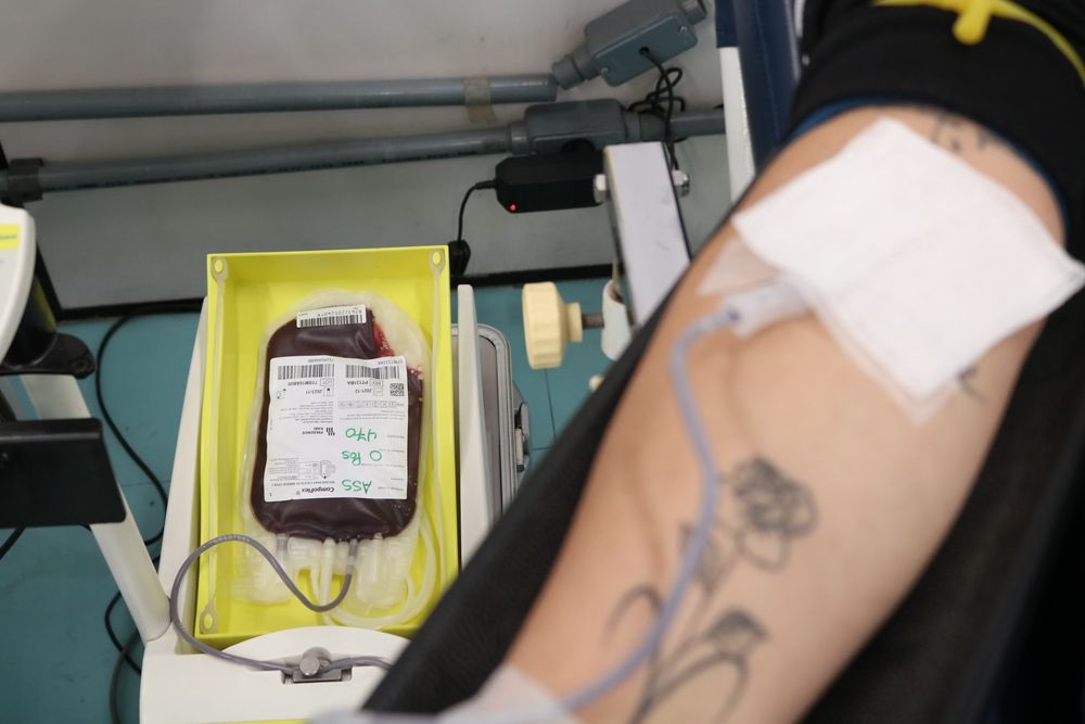 Crédito: Betânia Ramalho da Silva