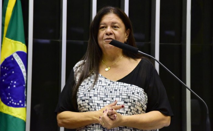 Laura Carneiro: em caso de violência comprovada, o juiz deve decidir de imediato pela guarda unilateral - (Foto: Myke Sena / Câmara dos Deputados)