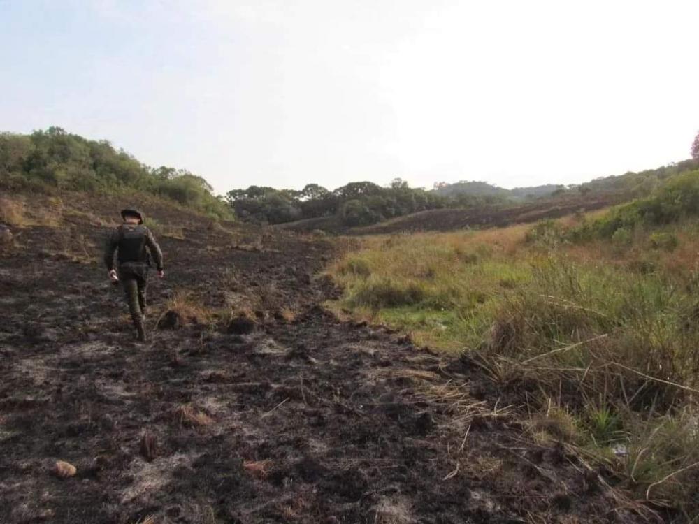 Crédito: Divulgação 