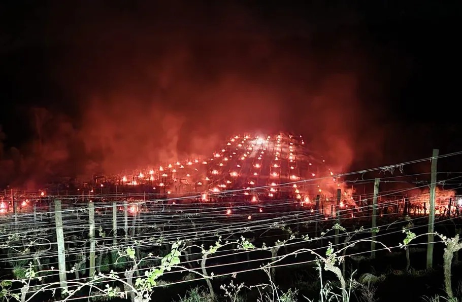 Fogueiras em meio aos vinhedos é alternativa para evitar os estragos provocados pelas fortes geadas - Foto: Família Geisse