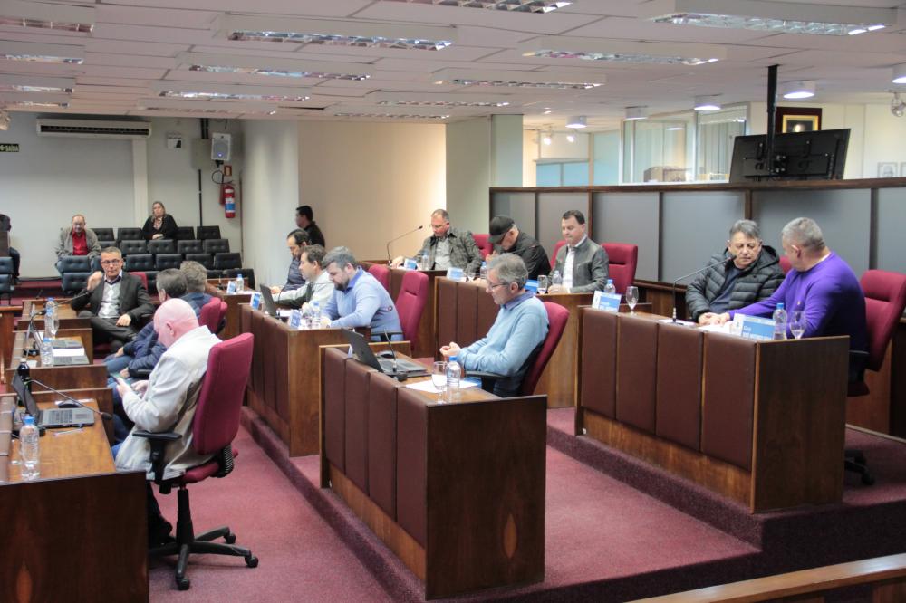 Crédito: Divulgação/Câmara de Vereadores 