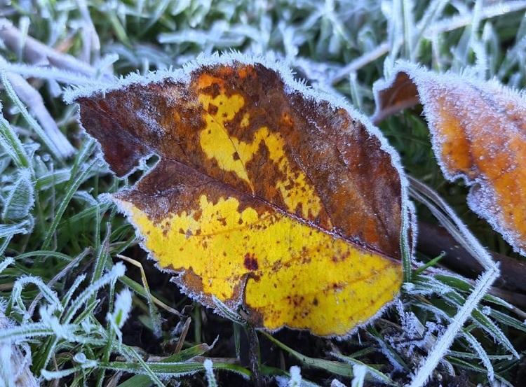 Clima: Bento terá variação de temperatura de até 17ºC no mesmo dia