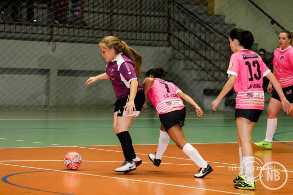 Helio Alexandre Fotografia