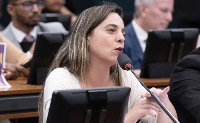 Fernanda Melchionna ampliou ao alcance da medida prevista no texto original - (Foto: Zeca Ribeiro / Câmara dos Deputados)