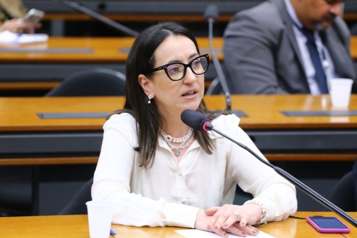 Rosângela Moro é a autora do requerimento para a audiência - (Foto: Bruno Spada/Câmara dos Deputados)