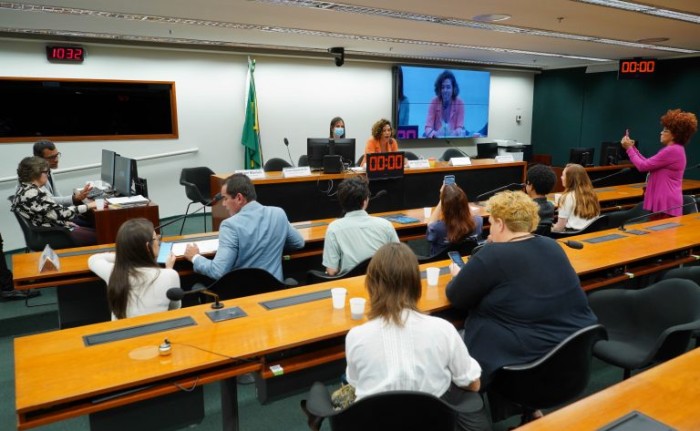 Deputada quer auxílio emergencial e medidas duradouras para enfrentar desastres climáticos